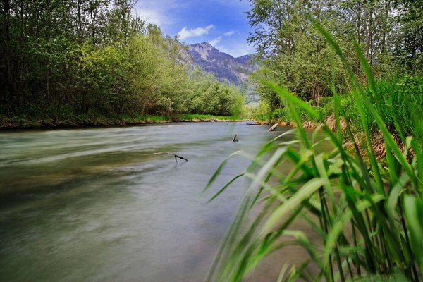 Green light for Nature Restoration in the EU Green light for Nature Restoration in the EU