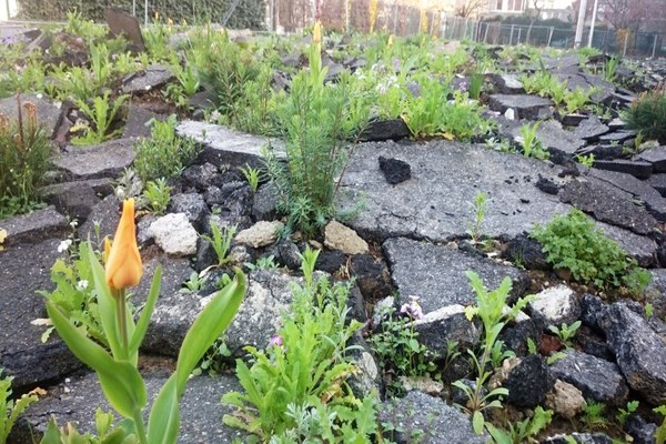 Heatwave aggravated by soil sealing Heatwave aggravated by soil sealing