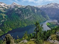 Monitoring Alpine biodiversity