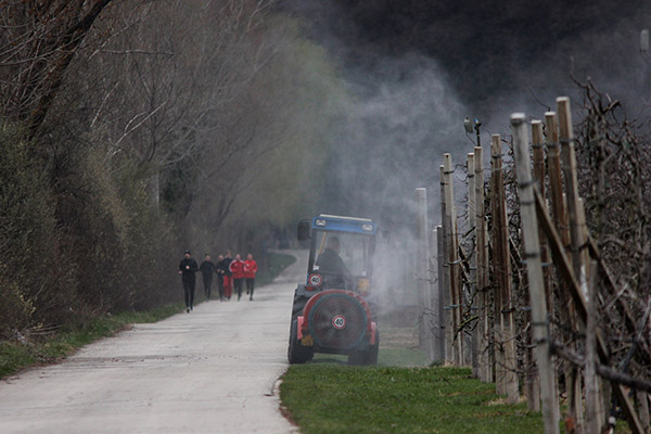 Poisoned playgrounds Poisoned playgrounds