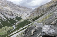 Protecting Alpine biodiversity