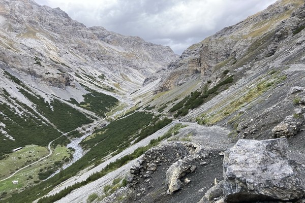 Protecting Alpine biodiversity Protecting Alpine biodiversity