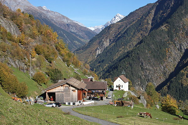 Rejuvenation of mountain farms Rejuvenation of mountain farms