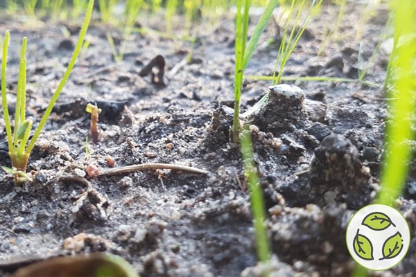 Saving land, saving soil Saving land, saving soil
