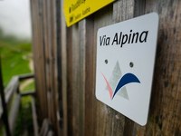 Via Alpina: 20 years of long-distance hiking