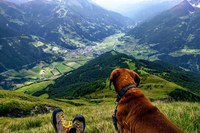 What the landscape tells us