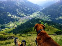 What the landscape tells us
