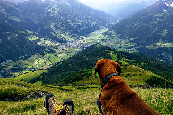 What the landscape tells us What the landscape tells us