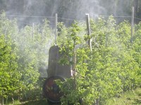 Where pesticides do not belong