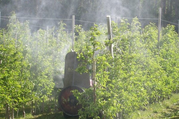 Where pesticides do not belong Where pesticides do not belong