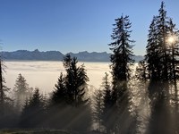 Alpine landscape is not renewable!