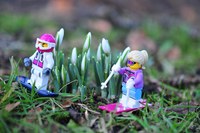 Solstice in winter tourism