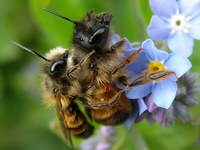 BeeAware!