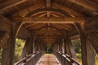 Climate Bridges