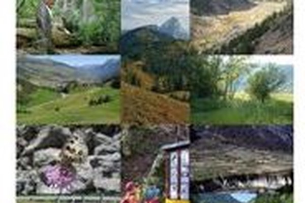 Platform Ecological Network Platform Ecological Network