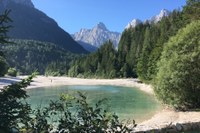 LiveAlpsNature