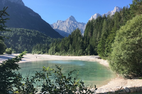 LiveAlpsNature LiveAlpsNature
