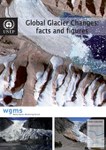Global Glacier Changes: facts and figures