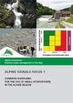 Alpine Signals Focus 1