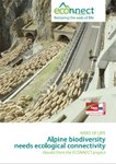 Webs of Life - Alpine biodiversity needs ecological connectivity