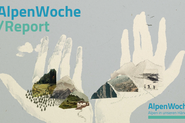 AlpWeek 2024 Report