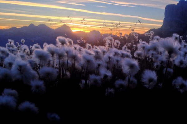 Gestion des flux touristiques dans les Alpes Gestion des flux touristiques dans les Alpes