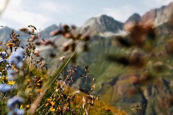 La biodiversité a besoin d’une politique courageuse et d’une mise en œuvre rigoureuse La biodiversité a besoin d’une politique courageuse et d’une mise en œuvre rigoureuse