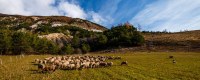Speci'Alps en France