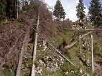 Système d'alerte pour les ouragans, les feux de forêt et les avalanches