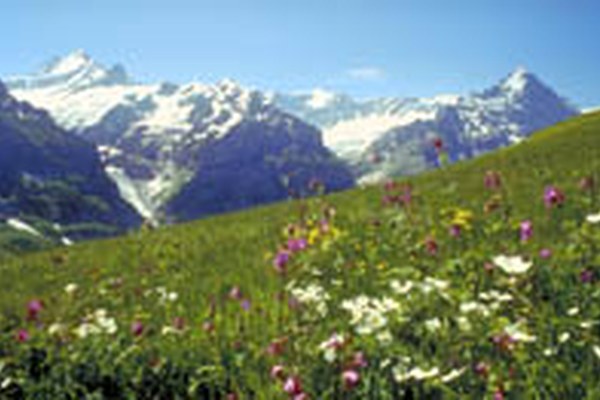 Prix touristique pour les paysages culturels Prix touristique pour les paysages culturels