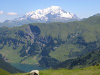 Une montagne de recherches !