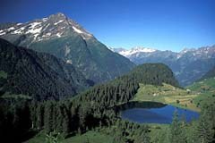 La voie est libre pour de nouvelles grandes réserves naturelles en Suisse La voie est libre pour de nouvelles grandes réserves naturelles en Suisse