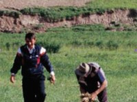 Journée internationale de la montagne sur le thème de la biodiversité