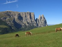 Giralpeggi - un projet de tourisme d'alpage
