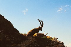 Les grands espaces protégés, pile dans la tendance touristique Les grands espaces protégés, pile dans la tendance touristique