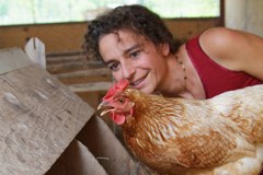 " Bilan de santé " de la politique agricole commune " Bilan de santé " de la politique agricole commune