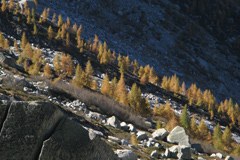 Les effets du changement climatique sur l'Autriche Les effets du changement climatique sur l'Autriche