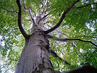 Les 100 ans de Pro Natura