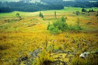 " Allgäuer Moorallianz " gagnant du concours national des grands projets pour la protection de la nature