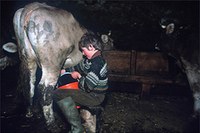 Résolution pour une agriculture de montagne active