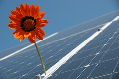 Les communes font le climat - Mesures de protection au banc d'essai Les communes font le climat - Mesures de protection au banc d'essai