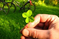 Manifestations compatibles avec l'environnement et la société