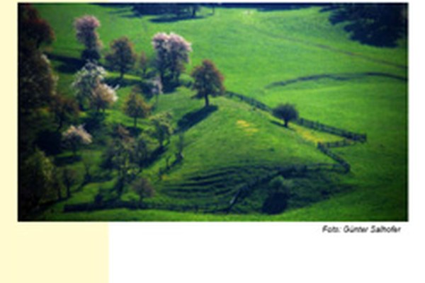 Publication " Nouveaux modèles de protection de la nature et du paysage culturel dans les parcs naturels autrichiens " Publication " Nouveaux modèles de protection de la nature et du paysage culturel dans les parcs naturels autrichiens "