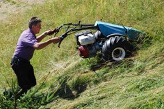 Plus d'argent pour l'agriculture de montagne et l'agriculture biologique Plus d'argent pour l'agriculture de montagne et l'agriculture biologique