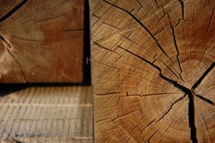 Une conception durable de l'économie Une conception durable de l'économie