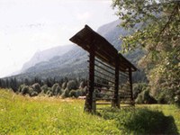 Kranjska Gora/S : À vos marques. Prêts. Au vert.