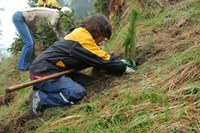 Se mobiliser pour la forêt de montagne