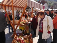 Rapport annuel 2011 : " Nous allons continuer "