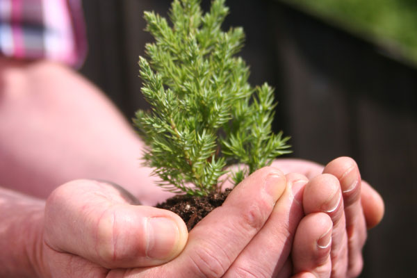 Qui a peur de la forêt ? Qui a peur de la forêt ?