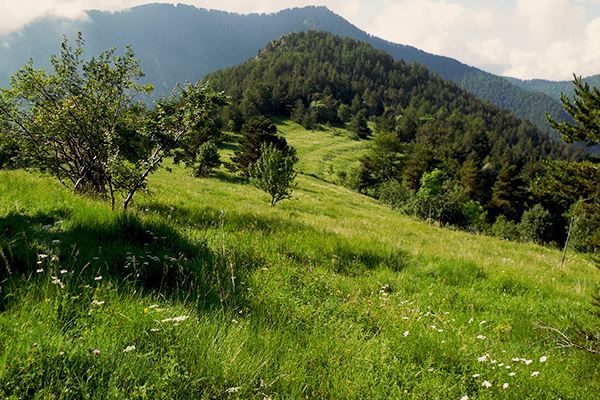 Comment lutter contre le morcellement des terres ? Comment lutter contre le morcellement des terres ?